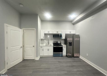 4629 Frankford Avenue - Photo 1