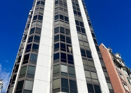 990 N Lake Shore Drive - Photo 1