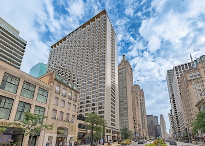 535 N Michigan Avenue - Photo 1