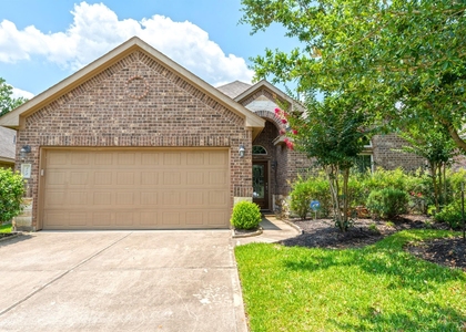 202 Black Swan Place - Photo 1
