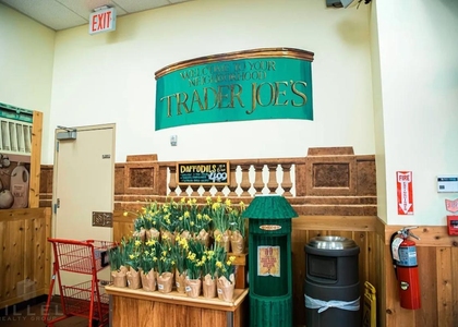 Second Avenue - Photo 1