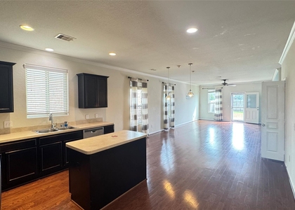20103 Linden Spruce Lane - Photo 1