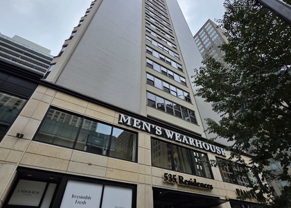 535 N Michigan Avenue - Photo 1