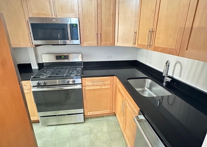 350 West 51st Street - Photo 1