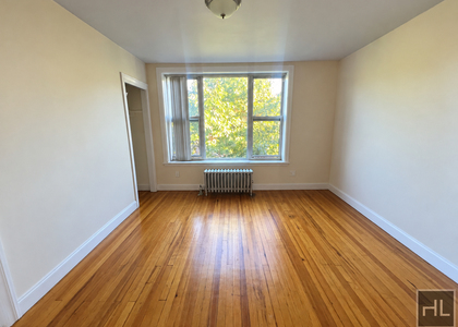 49 Street - Photo 1