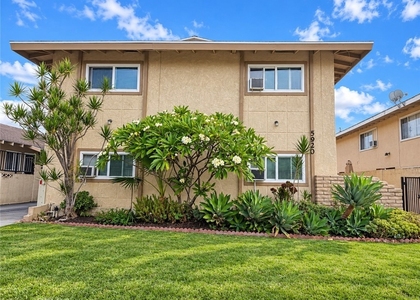 5920 Rostrata - Photo 1