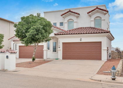 11714 Dos Palmas Drive - Photo 1