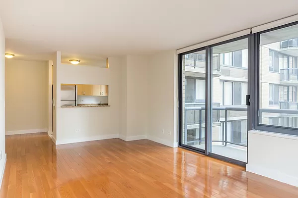 235 West 48th Street 38M - Photo 9