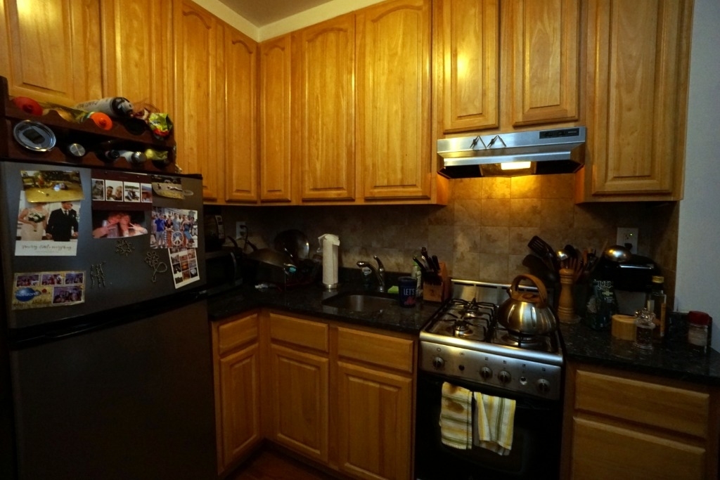 486 East 74th Street - Photo 1