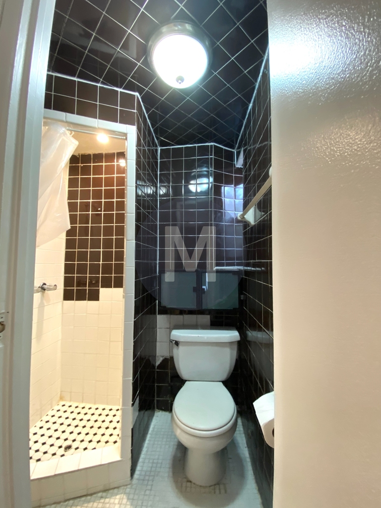 259 West 29th Street - Photo 5