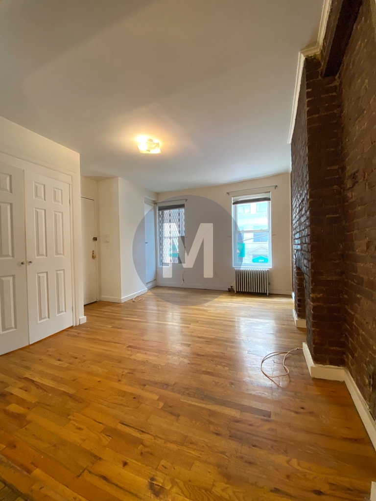 259 West 29th Street - Photo 1