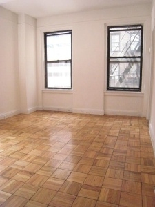 East 46th Street - Photo 3