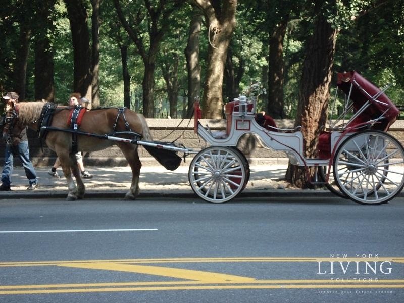 East 59th Street - Photo 2