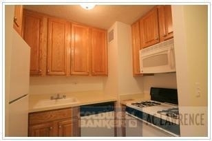 300 E 34th St. - Photo 1