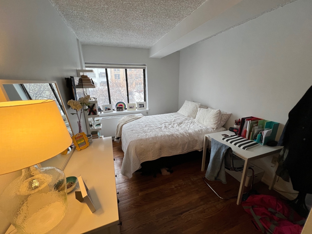 343 West 51st Street  - Photo 10