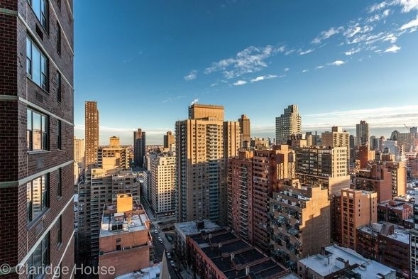 201 East 87th Street - Photo 4