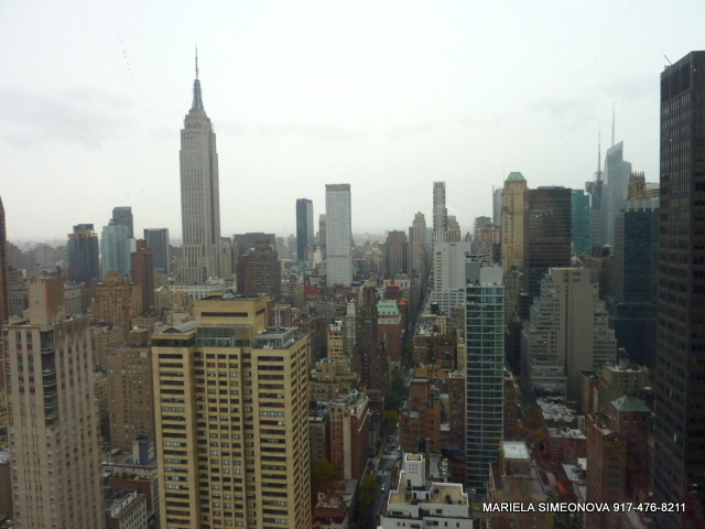 Sutton Place, Midtown East - Photo 7