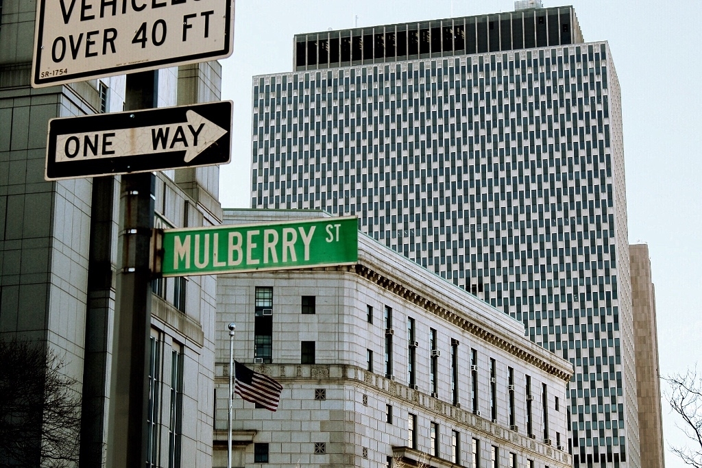 24 Mulberry Street - Photo 8