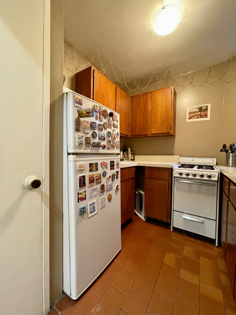 422 East 83rd Street - Photo 13