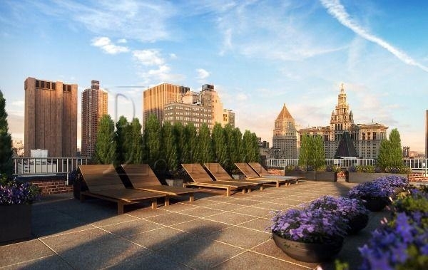 Prime Tribeca - Endless Amenities - Photo 4