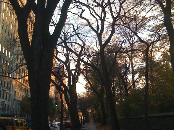 East 93rd St & 2nd Ave - Photo 4