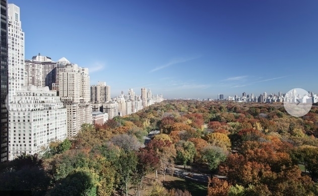 Central Park South - Photo 2