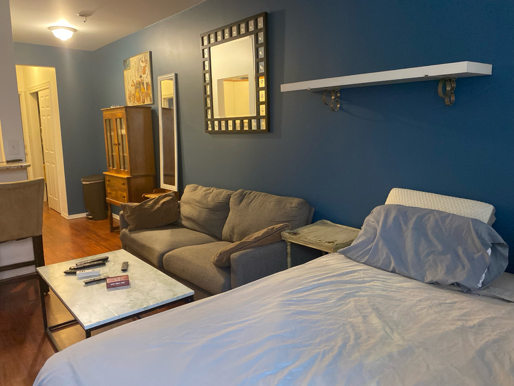 524 West 50th Street - Photo 10