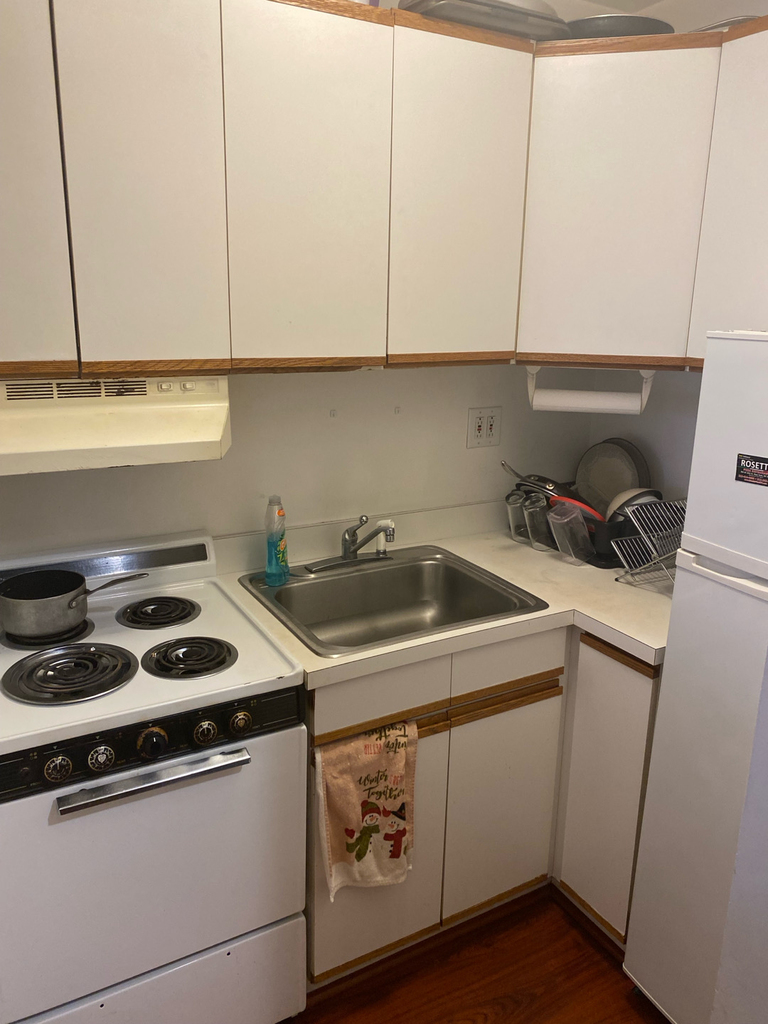 524 West 50th Street - Photo 4