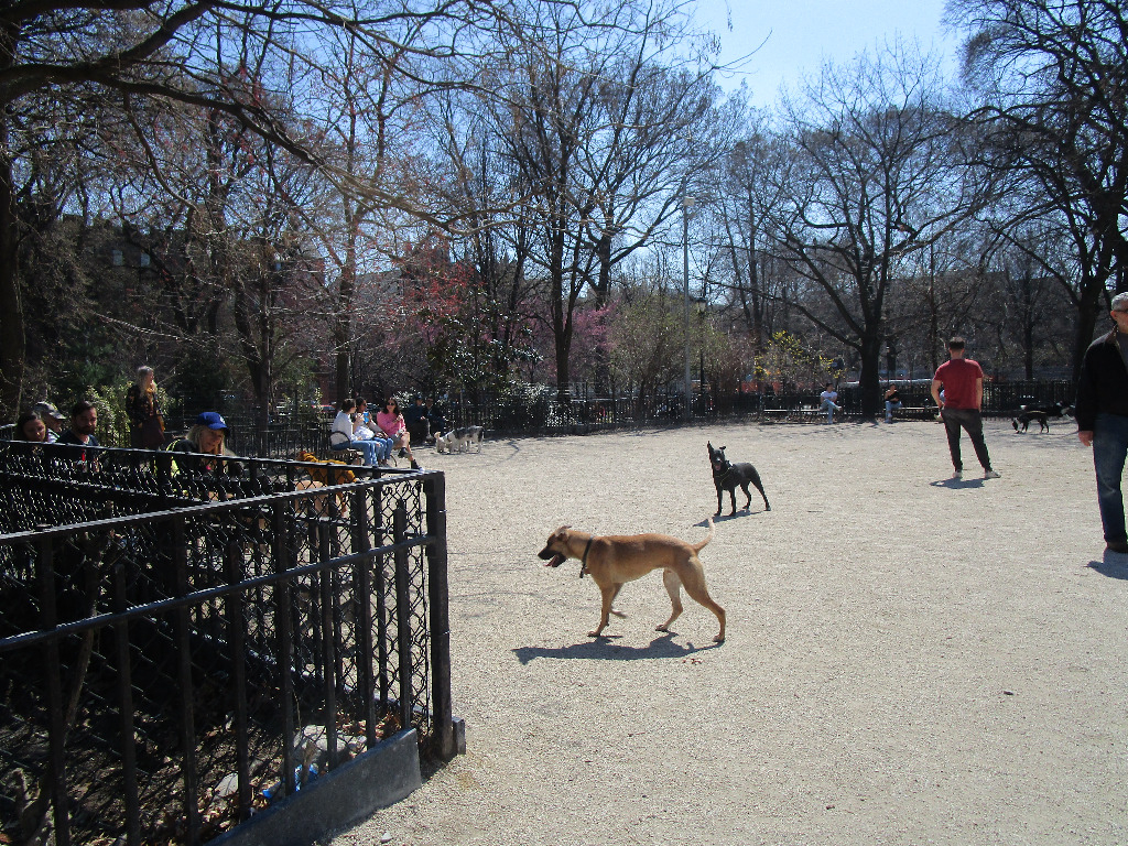 Avenue B  and 13th Street - Photo 0