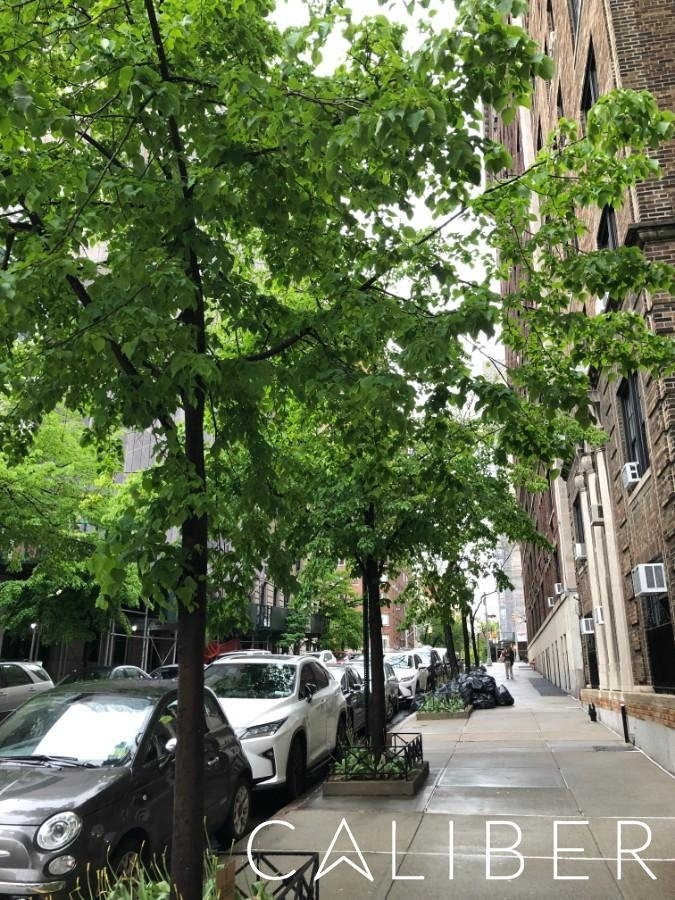 East 92nd Street - Photo 15