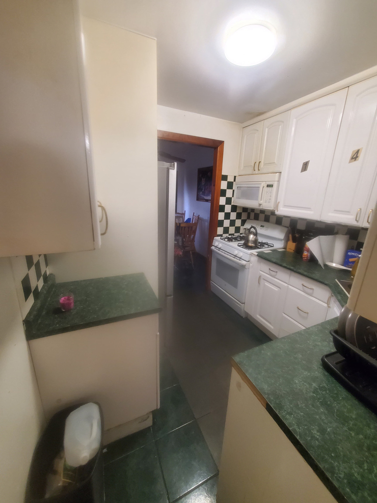 1505 East 98th street - Photo 4