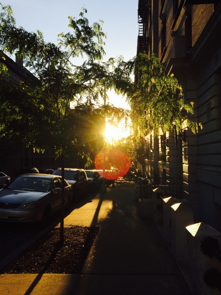  150th and Adam Clayton Powell - Photo 7