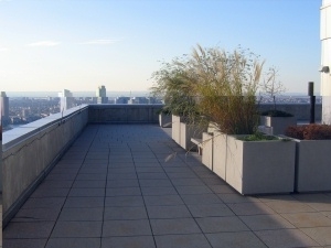 River Terrace - Photo 2