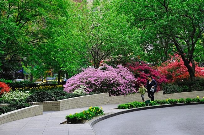 East 56th Street Between 1st and 2nd Avenue - Photo 2