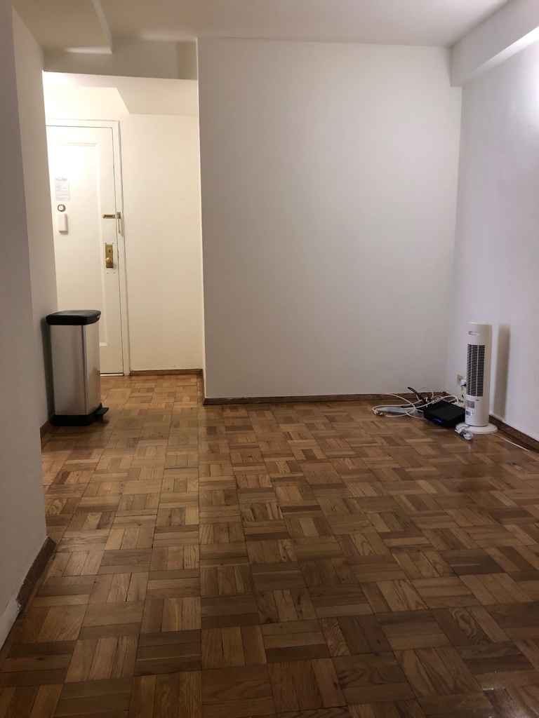 446 E 20th St Apt 3a  - Photo 5