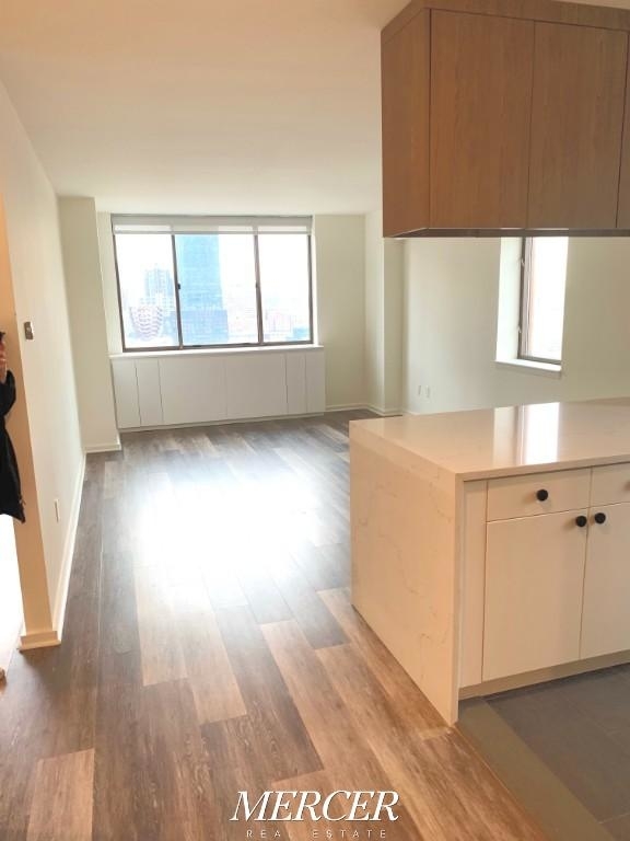 520 West 43rd Street - Photo 2