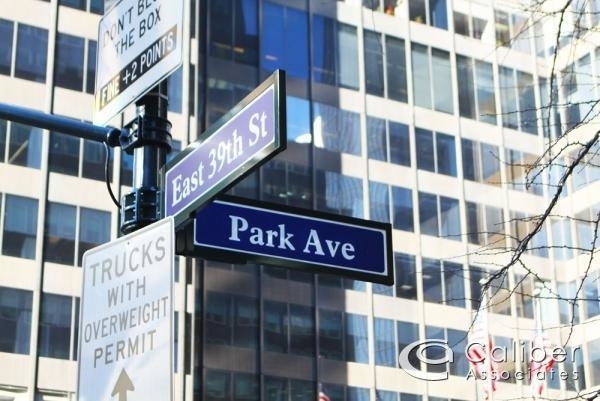 Park Avenue - Photo 1