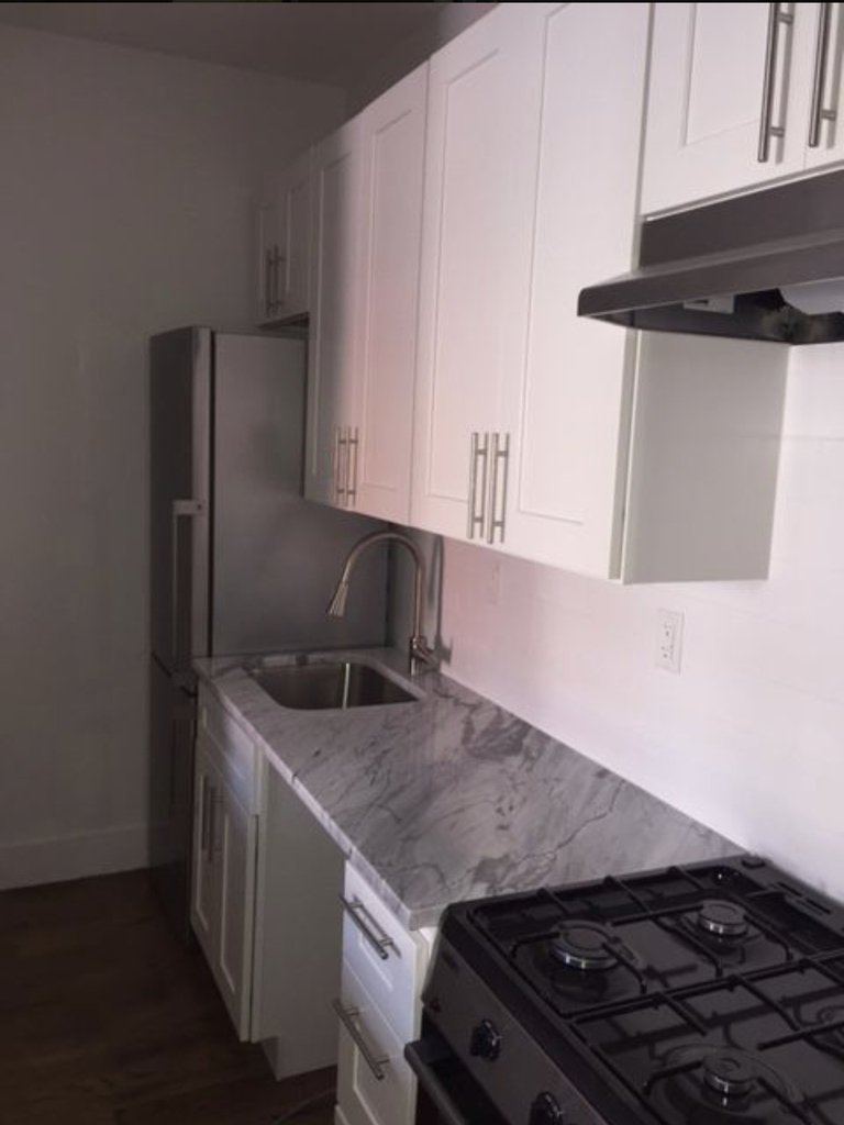 1 BR on Flatbush Avenue - Photo 2