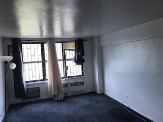 1199 E. 53rd Street Apt. 4g - Photo 2