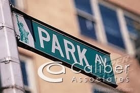 Park Avenue South - Photo 0