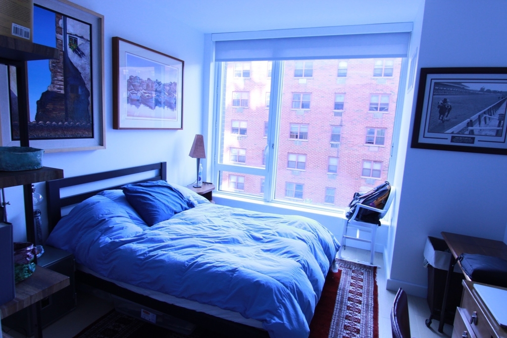 525 West 52nd Street - Photo 8