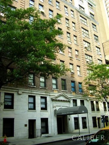 230 East 48th Street - Photo 4