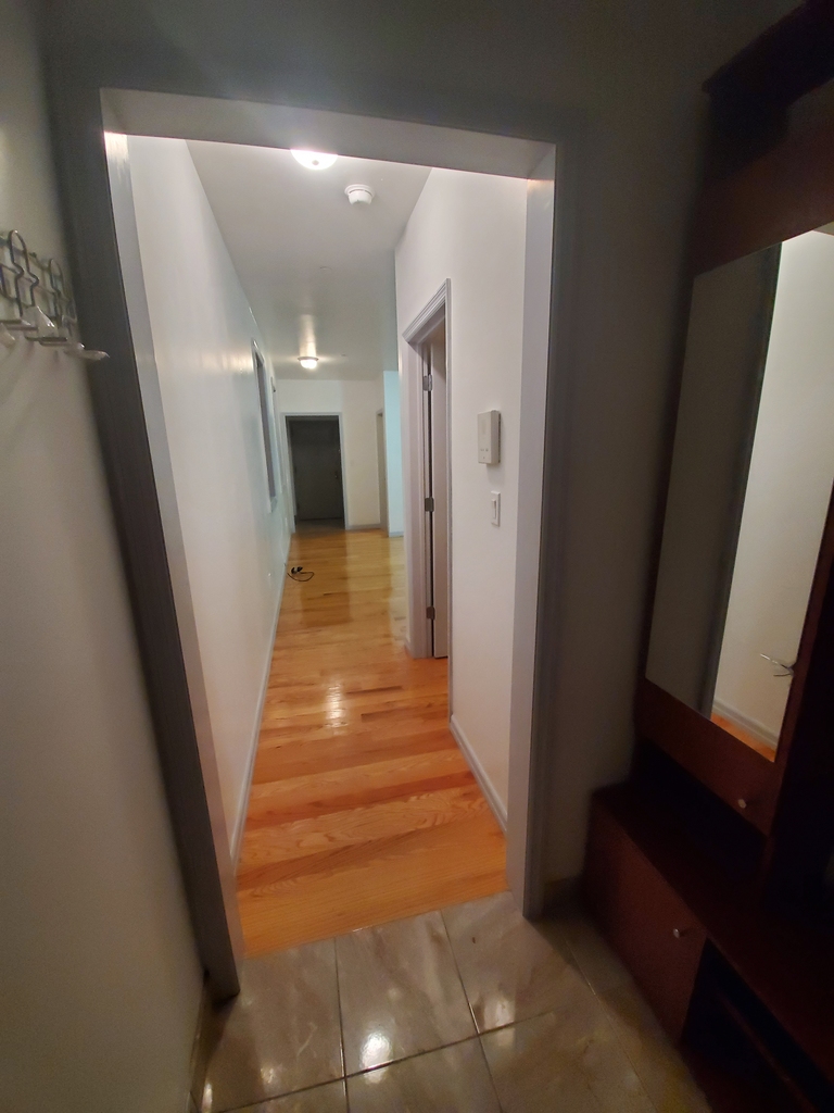 217 Ocean Ave, Brooklyn, Ny, 11225 - Photo 8