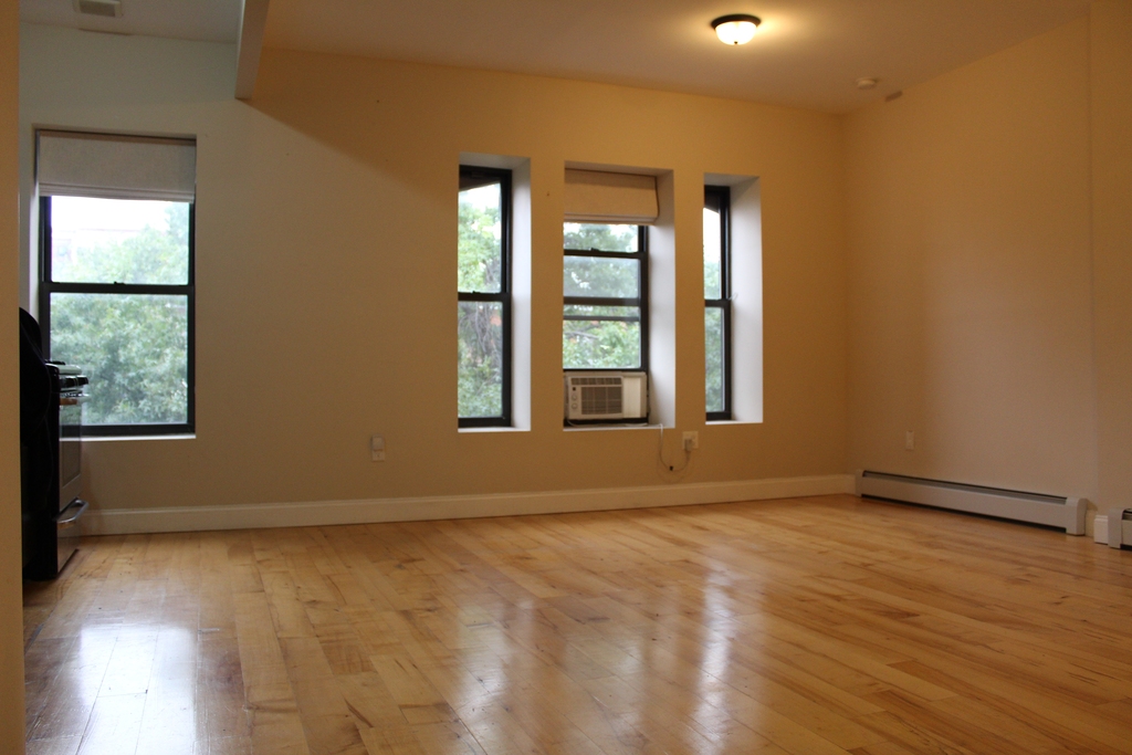 688 Greene,bed-stuy - Photo 1