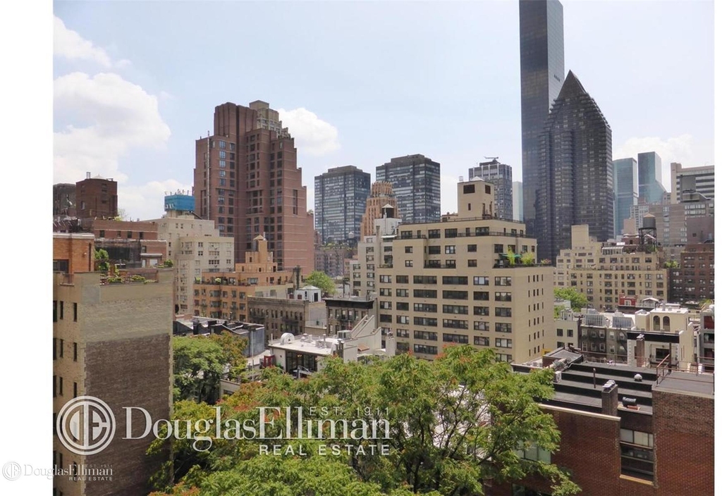 310 East 53rd St - Photo 6