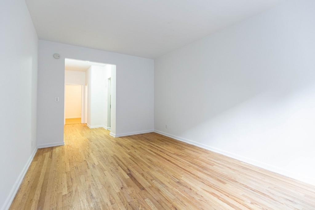 534 East 85th St - Photo 3