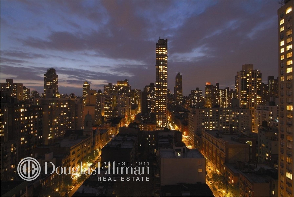 501 East 87th St - Photo 4