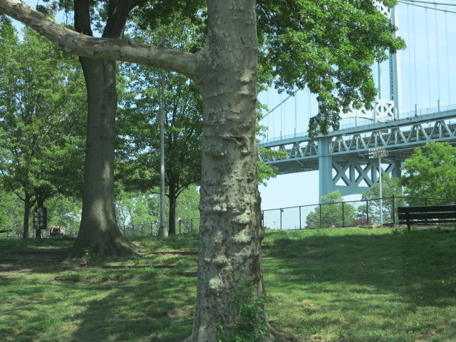 14th Street and Astoria Park South - Photo 9