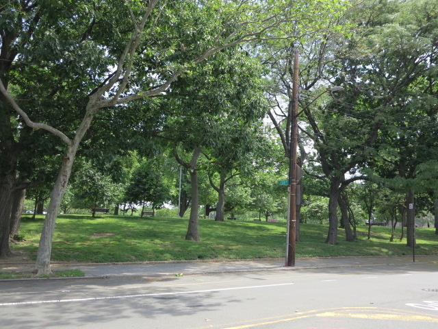 14th Street and Astoria Park South - Photo 8