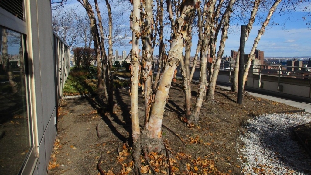 Lexington Avenue Between East 97th and East 98th Streets - Photo 10